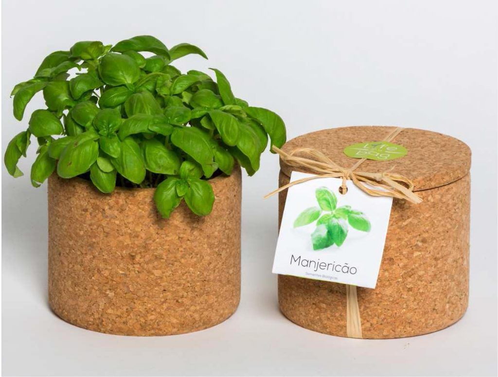 GROW-cork-pot