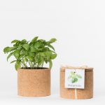 Cork grow pot