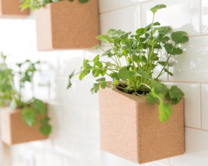 grow-cork-block