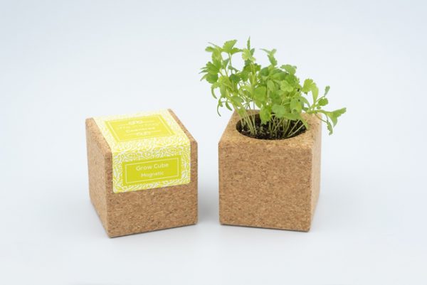 Cork grow cube