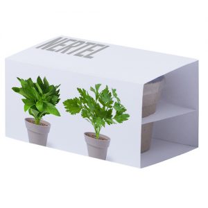 Nertel set aromaticas