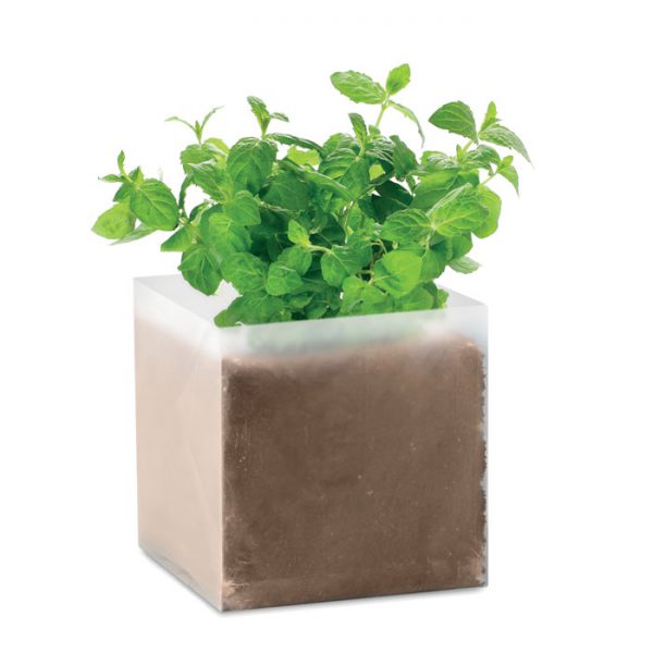 Sobre Menta