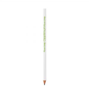 BIC® Evolution® Classic Cut Ecolutions® lápiz
